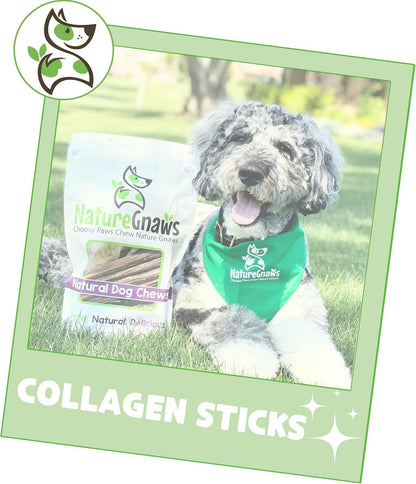 Nature Gnaws Collagen Sticks for Dogs 6" (12 Count) - Long Lasting for Small and Medium Dogs - Natural Beef Hide Dog Chew Bones