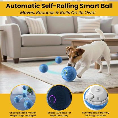Fur4Fun Interactive Dog Toy Set - Includes Automatic Rolling Rubber Ball, Rugged Treat Play Bone and Tough Dinosaur Squeak Plush Toy. Full Play Package for Small/Medium Sized Dogs.