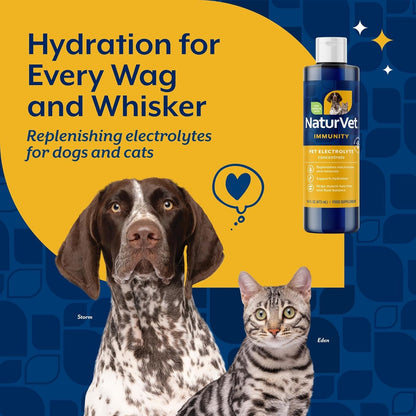 NaturVet Pet Electrolyte Concentrate for Dogs and Cats, 16 oz Liquid Concentrate, Made in The USA with Globally Source Ingredients