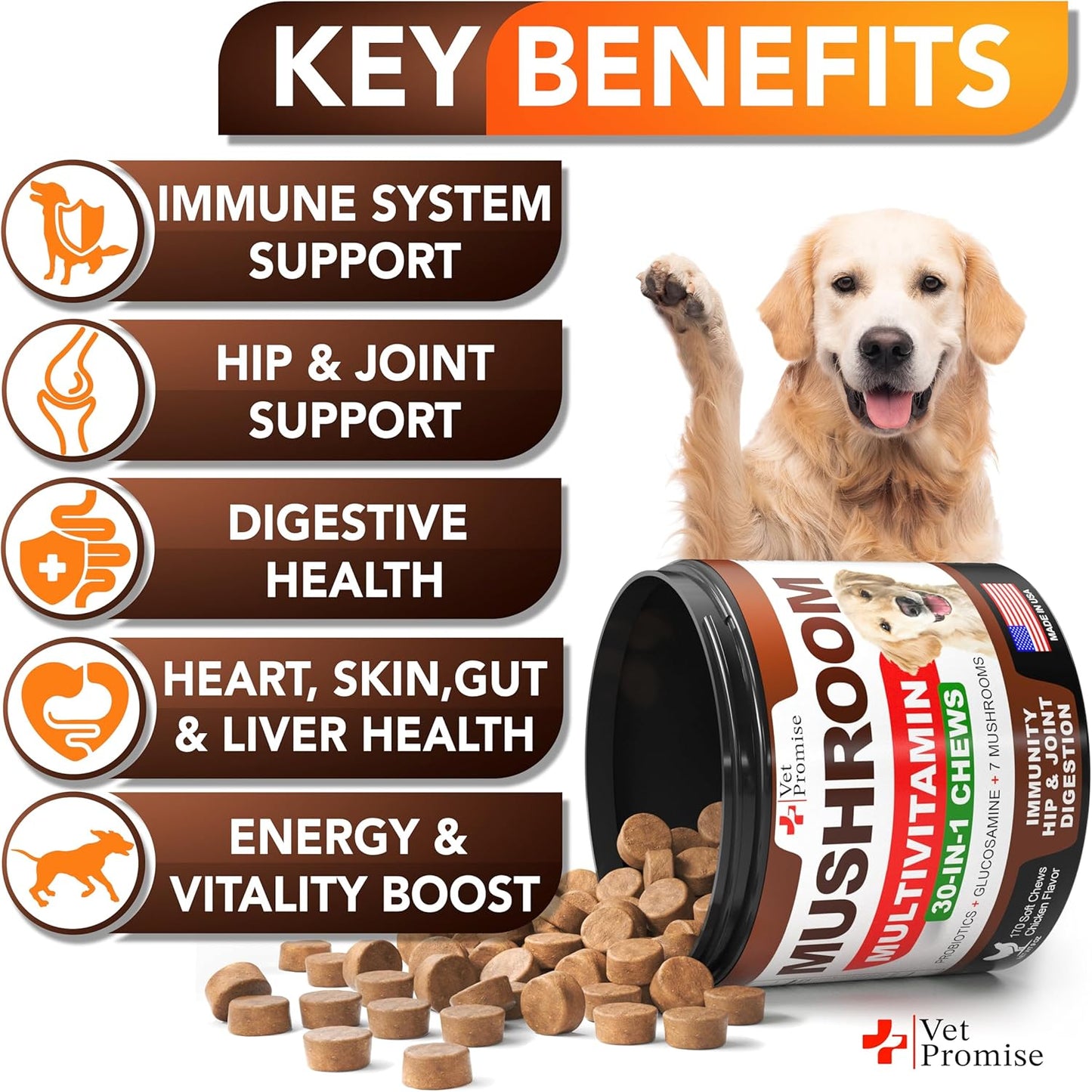 Turkey Tail Mushroom for Dogs - 170 Chews - Mushroom Supplement for Dogs - Lions Mane - Reishi - Immunity Support Multivitamin Vitamins - Joint Health - Energy - Gut - Skin - Made in USA