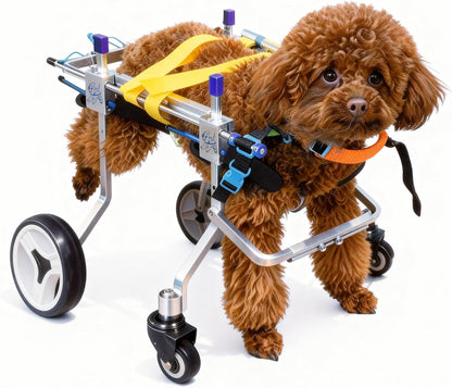 Four-Wheeled Adjustable Dog Wheelchair, Lightweight Mobility Bicycle Trailer for Disabled Pets, Easy to Assemble, Supports Walking and Exercise