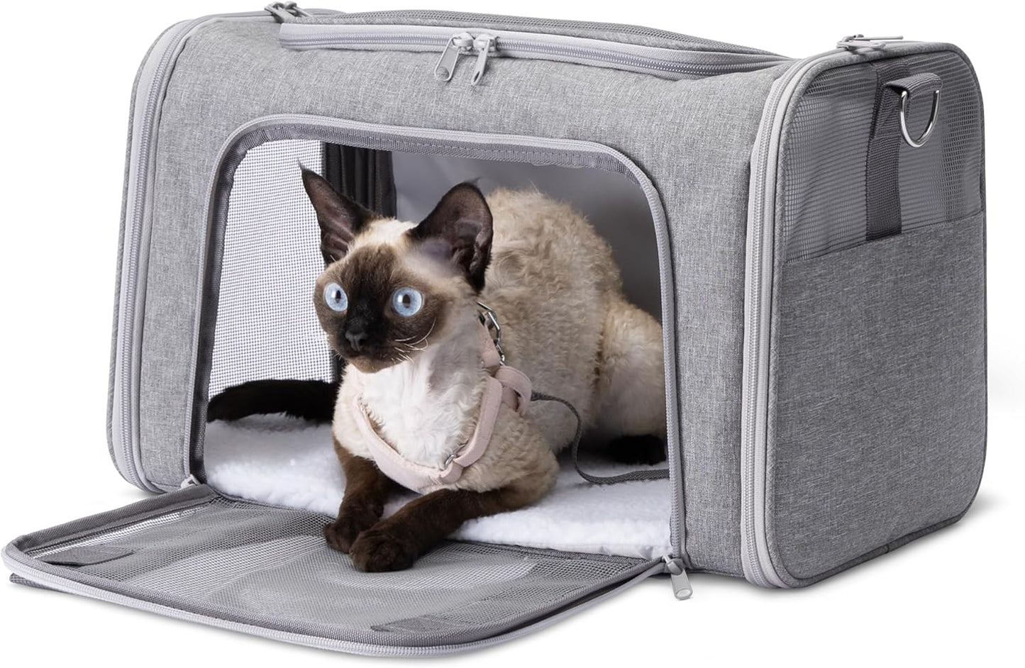 Amazon Basics Soft Cat & Dog Carrier with Adjustable Shoulder Strap, Airline-Approved, Foldable and Portable Design, Mesh Ventilation