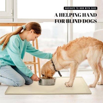 AVERYDAY 3-in-1 Slow Feeder Dog Bowls and 32x24'' Silicone Dog Mat Bundle