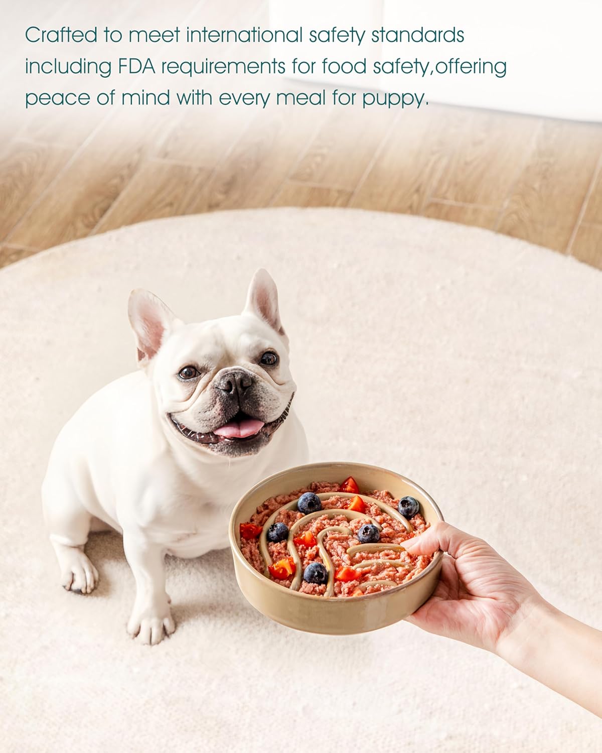 vancasso Slow Feeder Dog Bowl, 0.6 Cup Ceramic Slow Feeding Food Dish for Small Breed, Puzzle Dog Food Bowl for Fast Eater, Brown