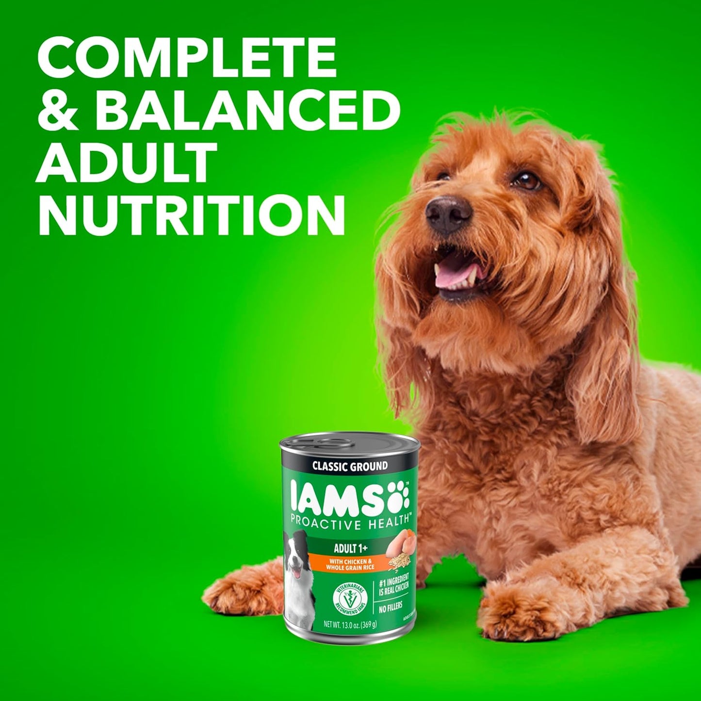 IAMS Proactive Health Adult Wet Dog Food Classic Ground with Chicken and Rice, 13 oz. Cans (6 Count, Pack of 1)