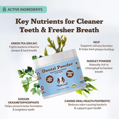 Natural Dog Company Dental Powder for Dogs – Freshens Breath & Helps Reduce Plaque & Tartar, Natural No-Brushing Canine Oral Health Postbiotic Supplement, Vet Formulated, Made in USA, 30-Day Supply