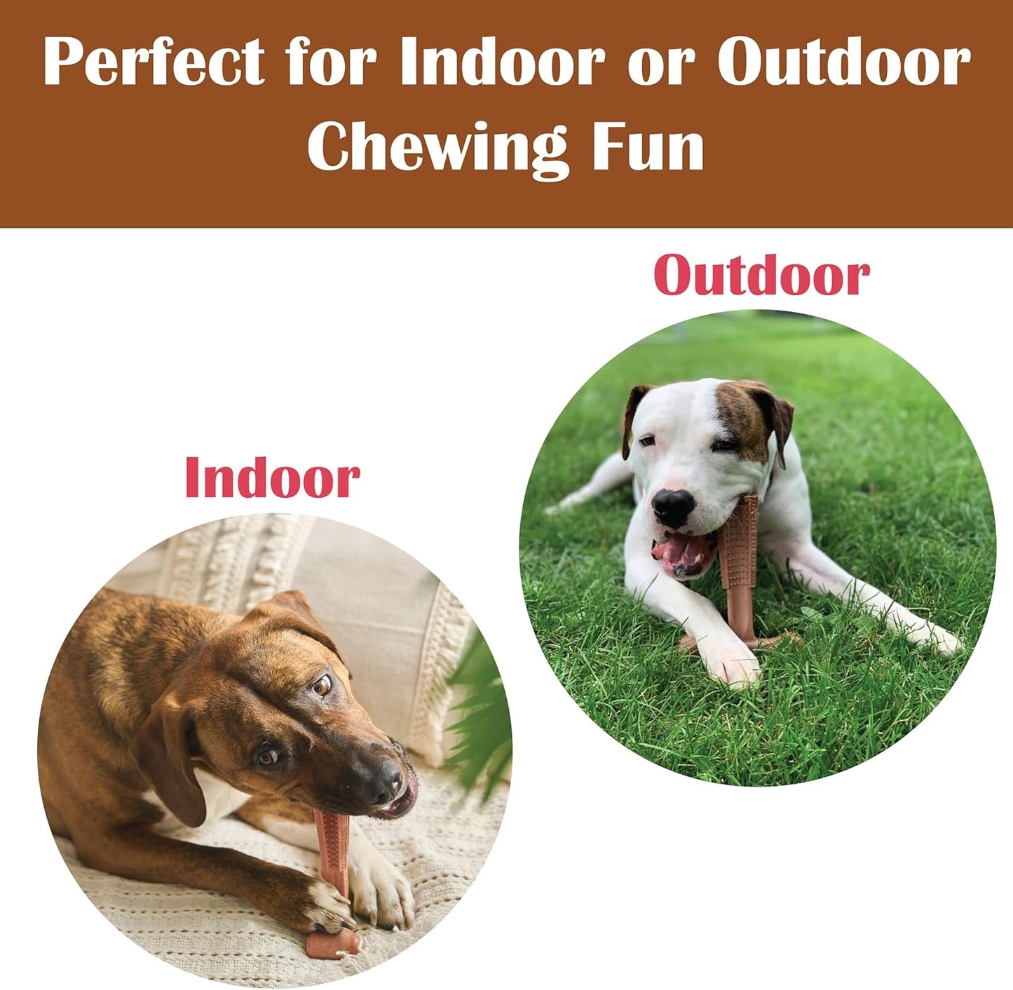 SPOT Bam-Bones Plus T Bone – Bamboo Fiber & Nylon Dog Chew Toy for Moderate to Aggressive Chewers, Durable Long Lasting & Non-Splintering, Beef Flavor Toy for Adult Dogs & Puppies Under 60 lbs, 6 in