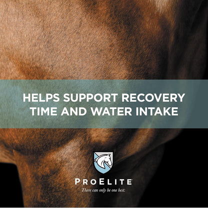 ProElite Aqua Aide, Electrolyte Horse Supplement, 15 lbs