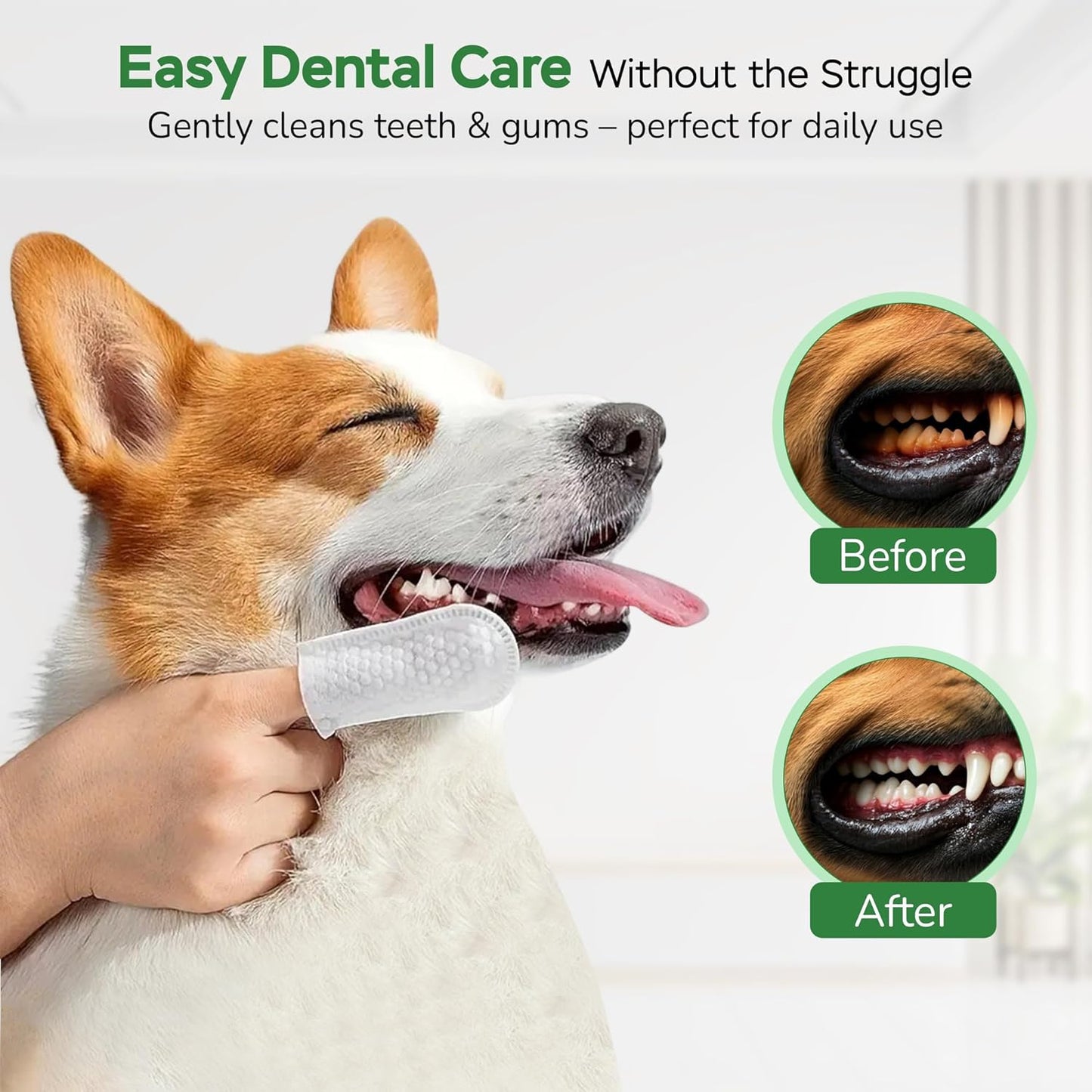 Dog Essentials Starter Kit - Dog Lovers Gift Box with Pet Wipes, Paw Balm, Dental Teeth Cleaning Wipes and Poop Bags Set - Complete Dog Care for Travel & Camping