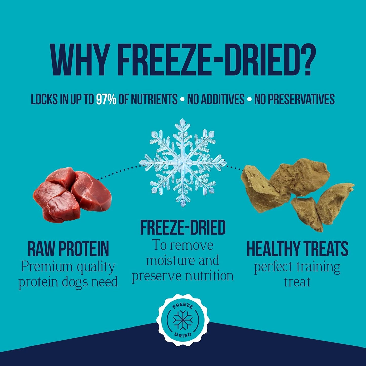 Stewart Chicken Liver Dog Treats, 3 oz, ~55 Pieces, Freeze Dried Raw, Single Ingredient, 60% Protein Training Treats or Meal Topper in a Resealable Tub, Grain Free, Gluten Free