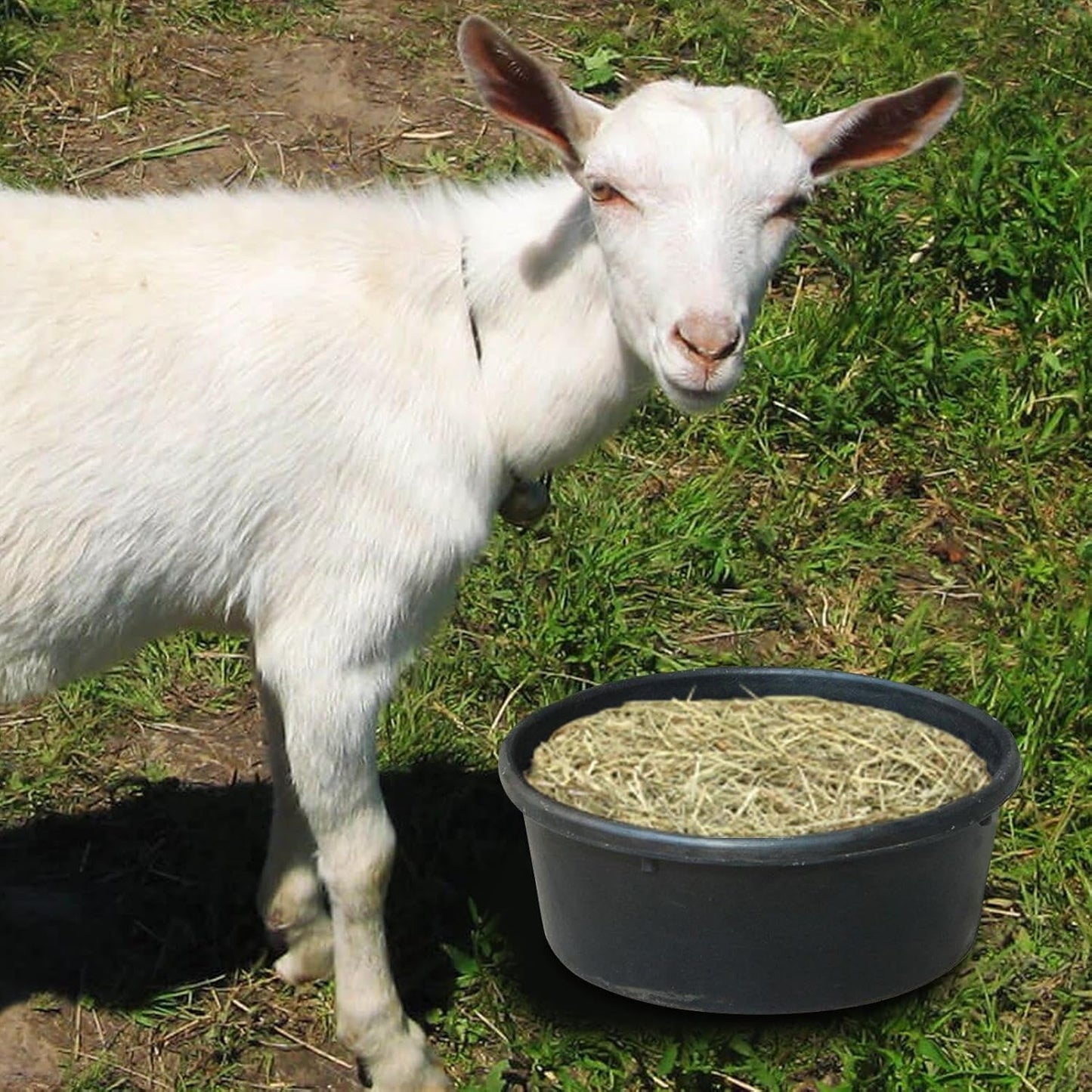 Horse Feed Pan, 4L Rubber Animal Feed Bowl, Water Trough Food Container for Dog Cat Duck Chicken Small Animal Ranch Farm Outdoor