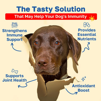 Happy Paws Turmeric Supplement for Dogs, Daily Wellness & Immunity Support for All Breeds & Ages, Made with Turmeric, Colostrum & Turkey Tail Mushrooms, Pumpkin Flavor, Non GMO, 100 Soft Chews