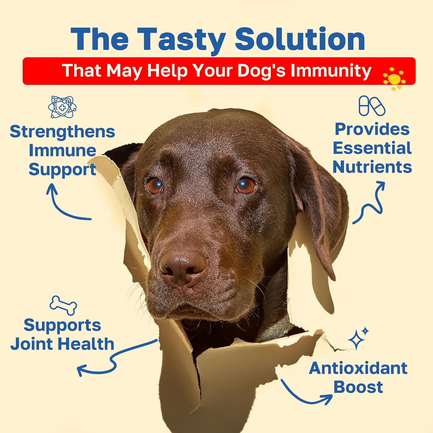 Happy Paws Turmeric Supplement for Dogs, Daily Wellness & Immunity Support for All Breeds & Ages, Made with Turmeric, Colostrum & Turkey Tail Mushrooms, Pumpkin Flavor, Non GMO, 100 Soft Chews