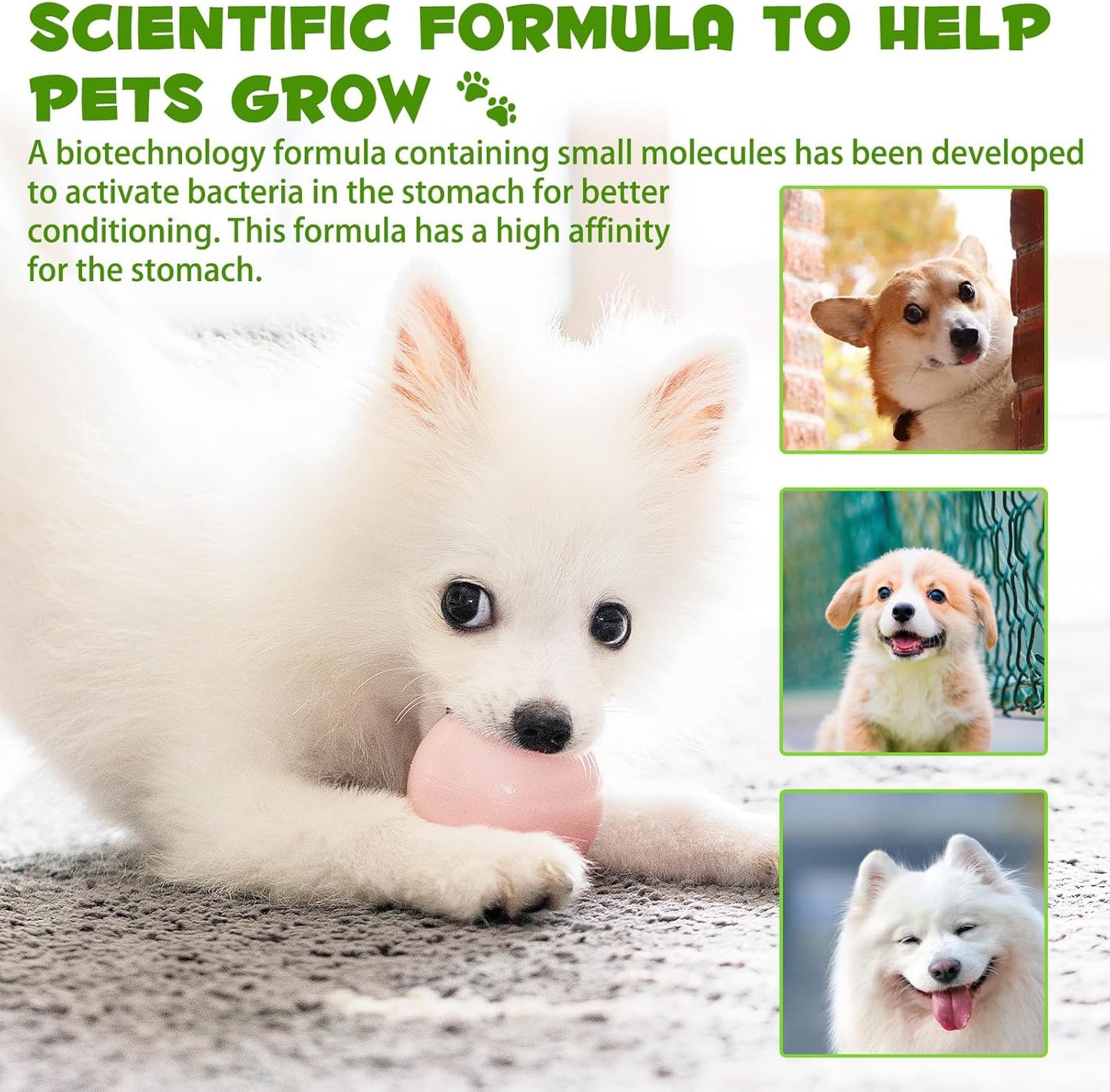 Probiotic for Dogs, Natural 3 in 1 Dog Probiotic Drops Helps Relieve Diarrhea, Supports Gut Health, Itchy Skin, Allergies, Immunity, Digestive Enzyme for Dog Supplement, Bacon Flavor - 60ml / 2 fl.oz