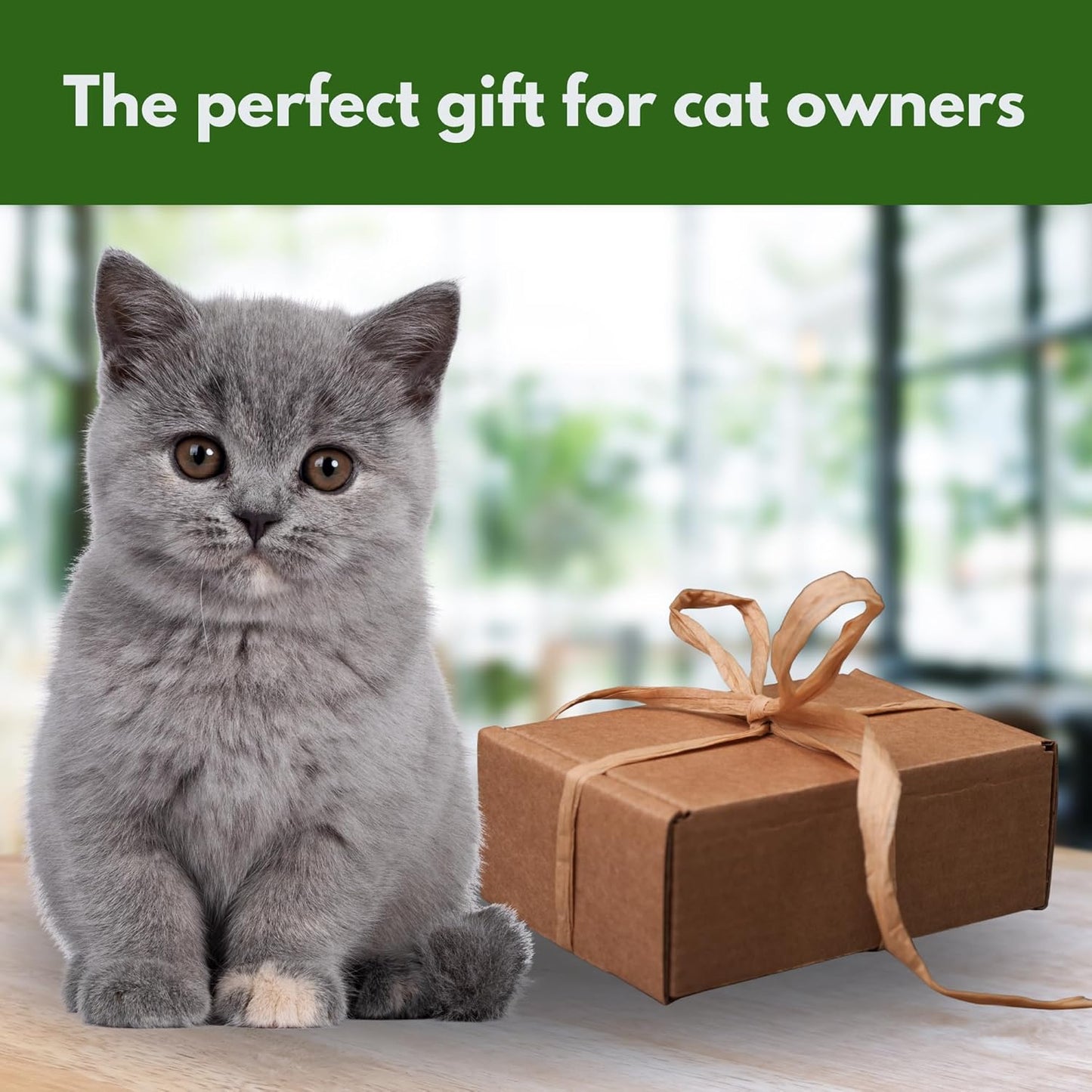 Cat Grass Kit for Indoor Cats - Organic Cat Grass Growing Kit (3 Pack) with Soil Discs, Coco Fiber Pots & Organic Seeds - Natural Hairball Control & Digestion Remedy