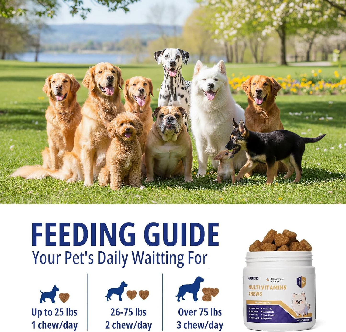 Dog Multivitamin Chewable Dog Vitamins and Supplements with MSM & Glucosamine, Omegas 3 for Gut Health Joint Support Skin & Coat Heart Health Digestion Immune System - Chicken Flavored, 90 Ct