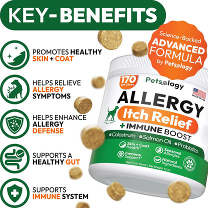 Dog Allergy Relief Chews - 170 Dog Allergy Chews - Itch Relief for Dogs - Omega 3 Fish Oil, Probiotics For Itchy Skin & Hot Spots Allergies, Paw Licking, Dry Skin & Coat Supplement - Beef Liver Flavor