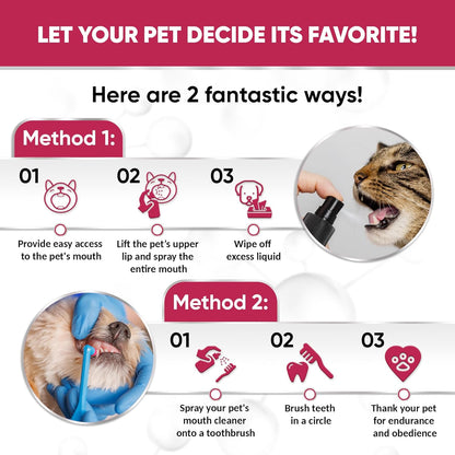 Dental Spray for Pets – Cat & Dog Breath Freshener That Helps with Tartar, Plaque, & Bad Odor – Silver 50 PPM + Valerian Flavour for Dog Teeth Cleaning – 4 Oz