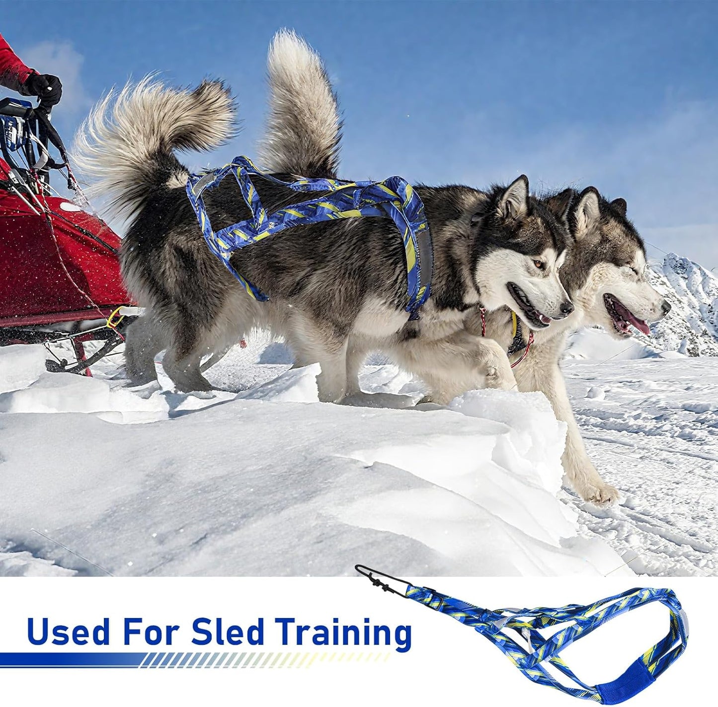 Dog Pulling Harness, Sled Dog Harness for Running, Pull Dogs Leash is Suitable for Cross-Country Running, Dogs Sports, Bicycle Traction, Ski Traction, Sled, Sled Dog 25.5kg (Blue, L)