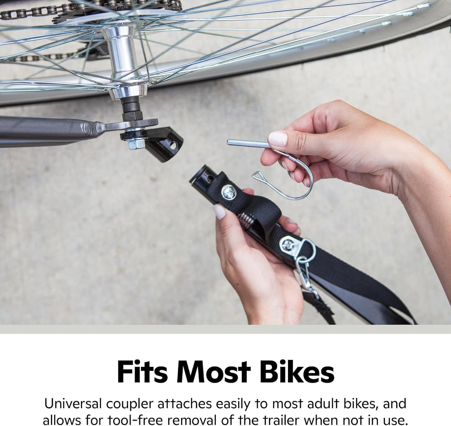 Schwinn Rascal Pet Trailer, Holds Pets Up to 50 or 100 lb, Universal Coupler, Folding Frame, Quick-Release Wheels, Rear Doggy Door, Leash, Washable Liner, Bug Screen, Schwinn Bike Trailer for Pets