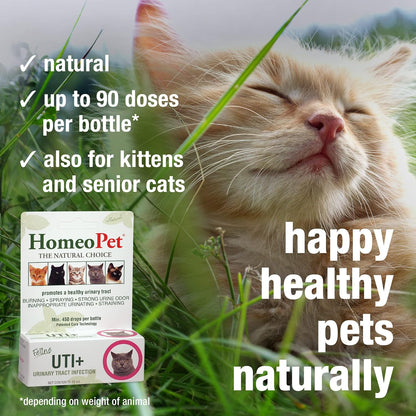 HomeoPet Feline UTI Plus, Safe and Natural Urinary Tract Supplement for Cats, Feline Urinary Tract Support, 15 Milliliters