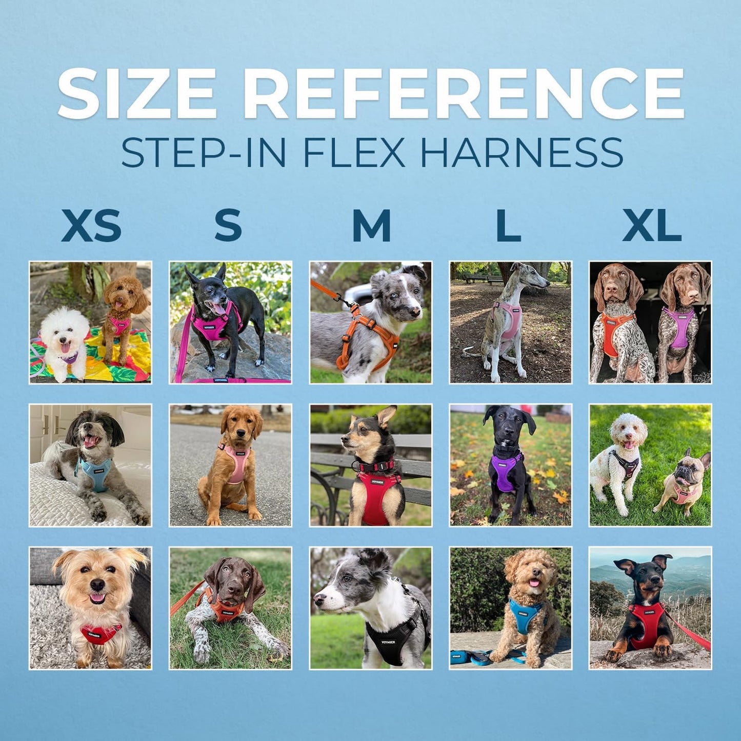 Best Pet Supplies Voyager Mesh Dog Breathable Harness Reflective Stitching, All Weather Adjustable for Walking Training, or Running - Heavy Duty & Durable, Harness (Royal Blue), L