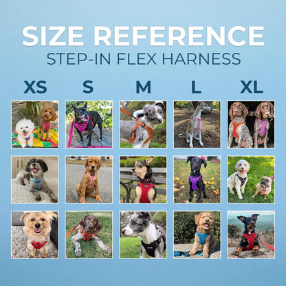 Best Pet Supplies Voyager Mesh Dog Breathable Harness Reflective Stitching, All Weather Adjustable for Walking Training, or Running - Heavy Duty & Durable, Harness (Royal Blue), L