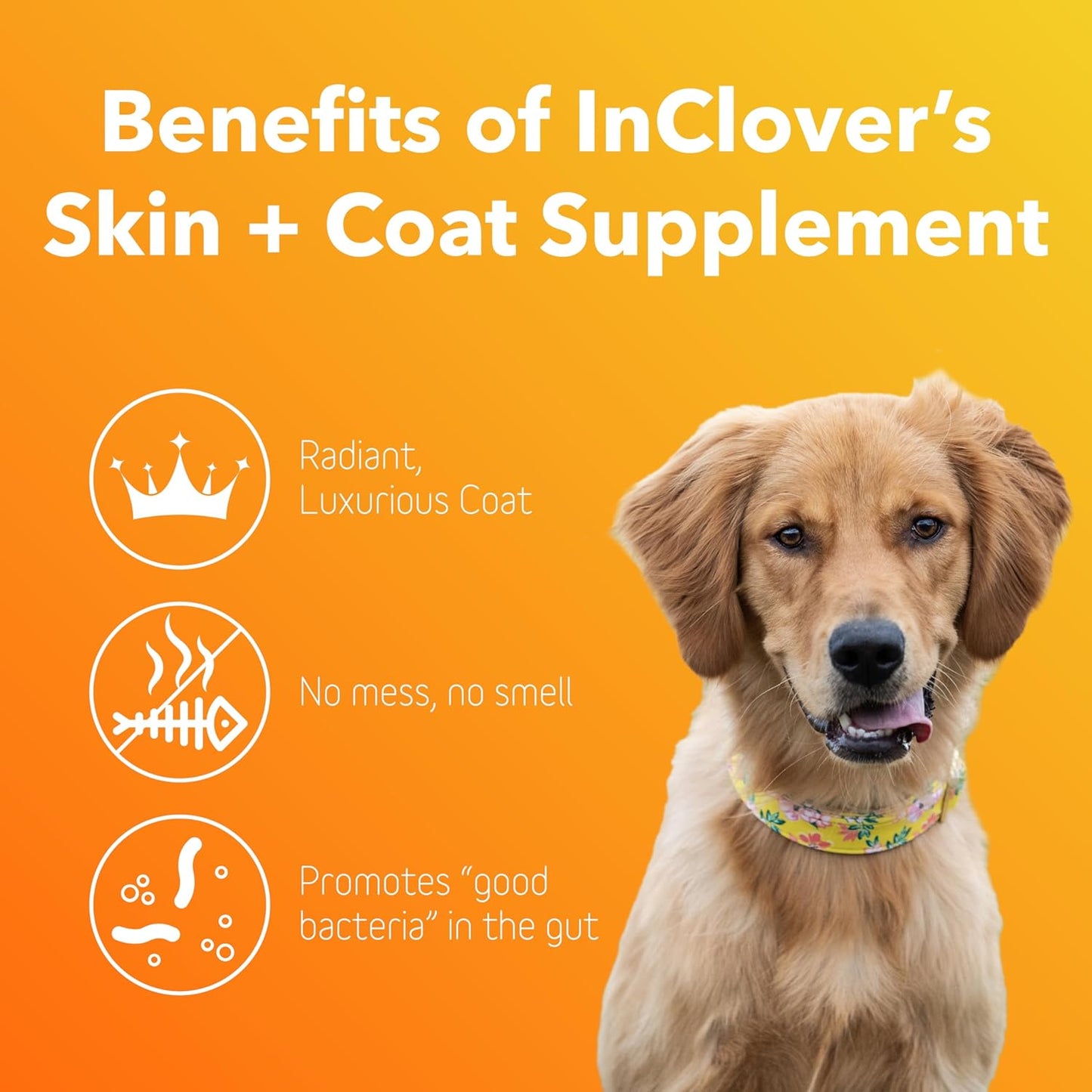 In Clover Dog Skin and Coat Supplement, BioRadiant Natural Supplement for Dogs, Healthy Skin and Coat, Fish Oil Alternative Uses Carrots, Coconut, Omega 3's, Biotin and Zinc Soothe Skin
