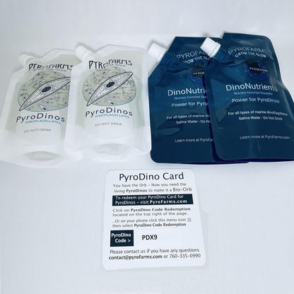 Large Bioluminescent Bio-Orb Gift Option - Living 6-inch Glass Orb with Free Glowing Plankton Coupon