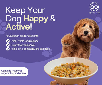 WaYo Fresh Dog Food, Fresh Human-Grade Meals for Dogs | Grass-Fed Premium Meat | All Life Stages | High-Protein, Ready-to-Serve | No Fillers or Art. Additives (11 Pack - 12oz) (Turkey)