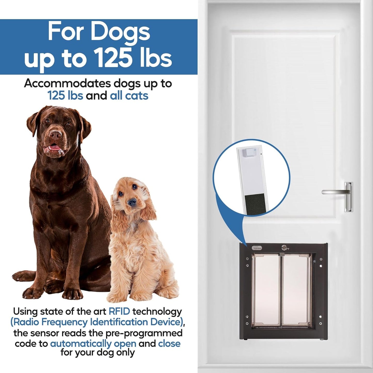 Plexidor Large Wall Mount PDE Electronic Pet Door - Energy Efficient - White