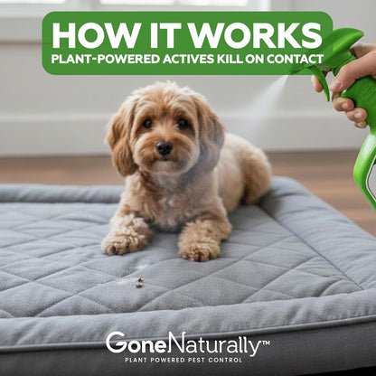 Flea and Tick Spray for Dogs & Home– Natural Flea and Tick Prevention for Dogs– Bed Bug Spray & Multi-Insect Killer– Scentless Plant-Based Formula Kills on Contact (32 oz)