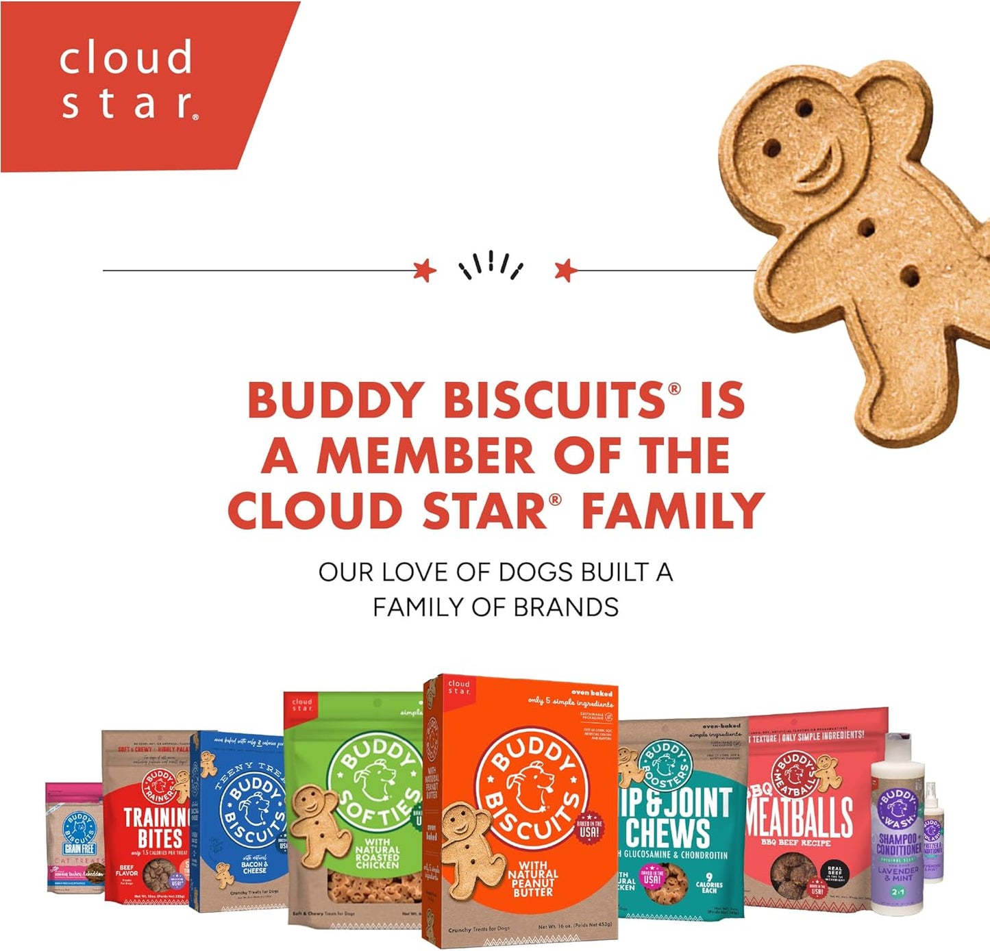 Buddy Biscuit Softies 5 oz Pouch, Grain-Free Soft & Chewy, Natural Grilled Beef Flavor Dog Treats, Oven Baked in the USA