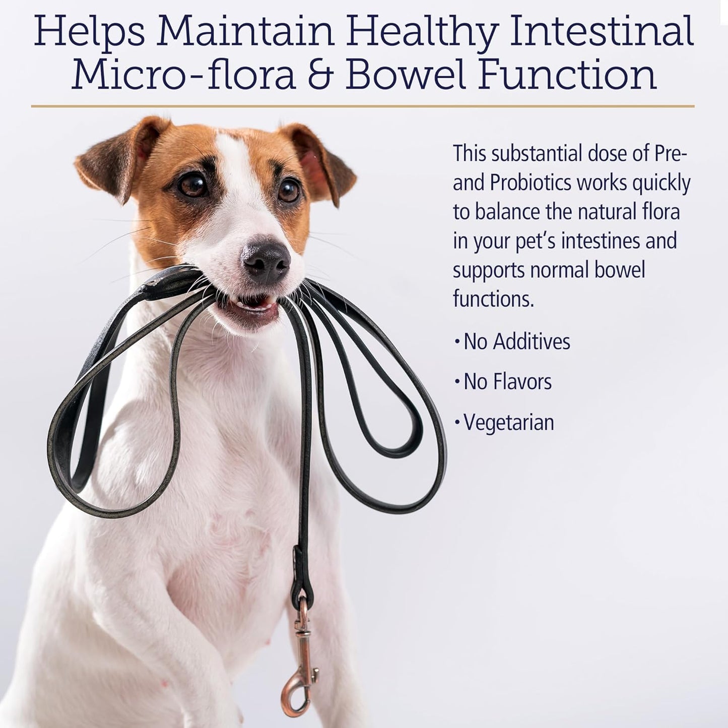 Rx Vitamins Rx Biotic - Probiotic Powder for Dogs and Cats - Cat Digestive Support & Probiotic for Dogs Gut Health - Dog Probiotics for Digestive Health - 2.12oz