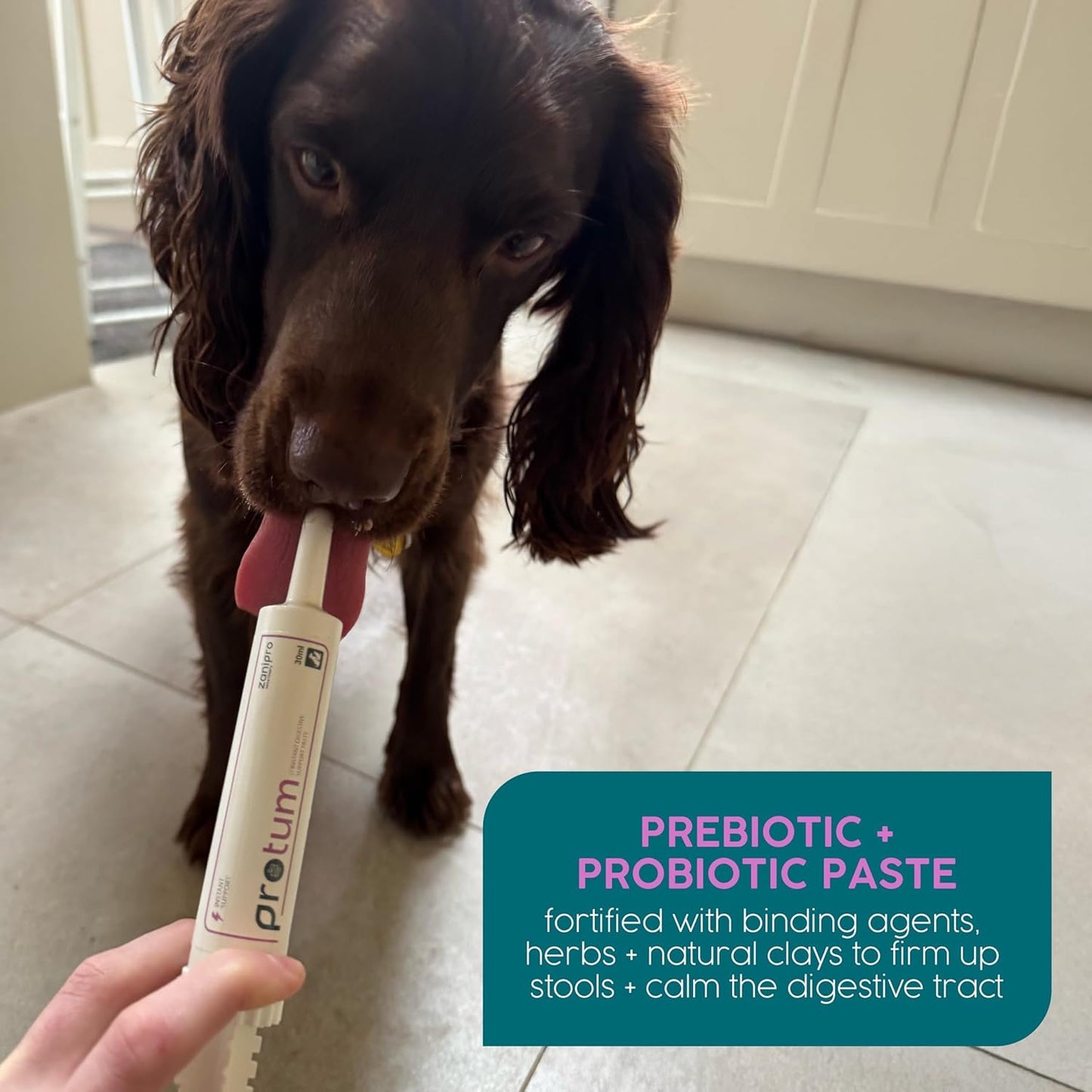 Protum Probiotic Paste for Dogs - 30ml Advanced Prebiotic Formula for Digestive Support - Tasty Flavour for Canine Gut Health - Aids Digestion, Diarrhea Recovery, and Wellness