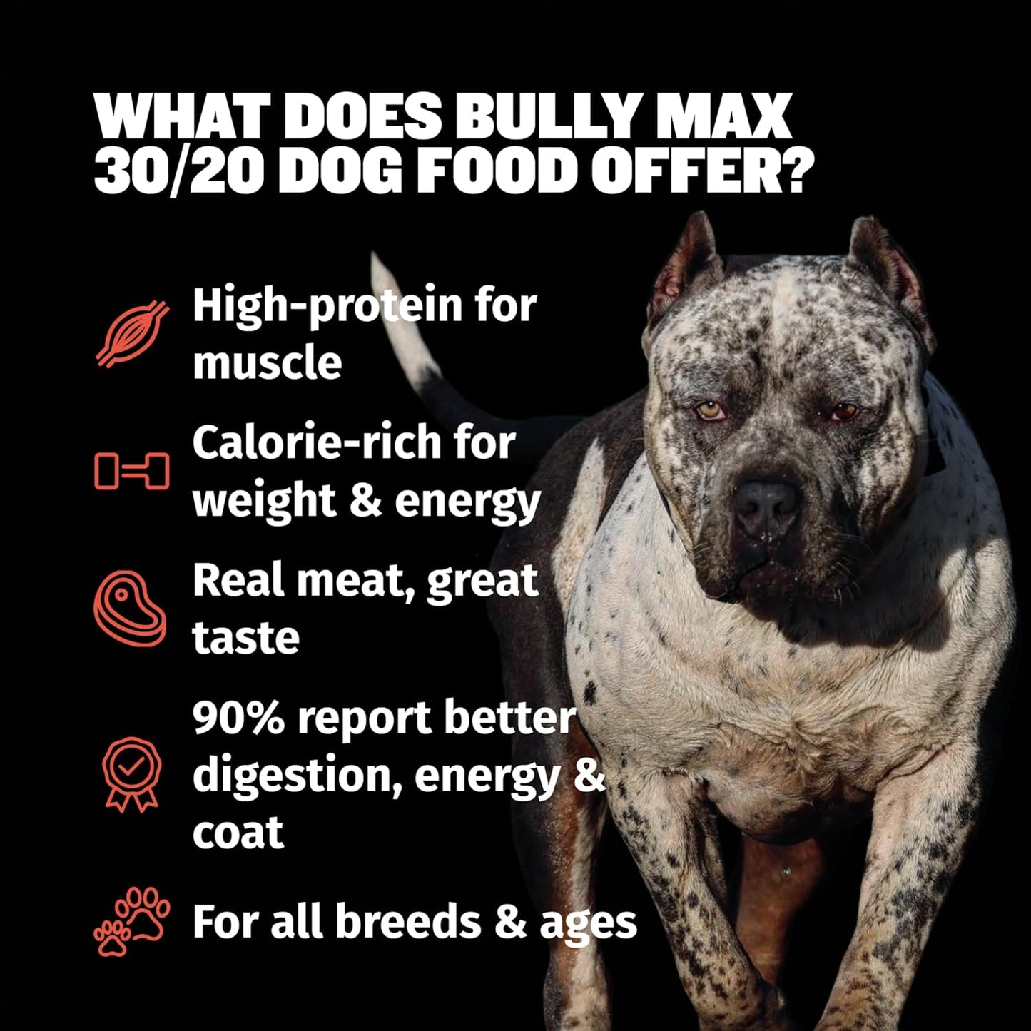 Bully Max Dry Dog Food for Adults & Puppies - High Protein & Fat for Muscle & Weight Gain - High Performance Dog Food Supplements - Small & Large Breed Dogs (530 Calories Per Cup), Beef, 15lb Bag