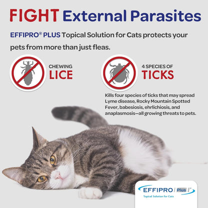 Effipro Plus Topical Solution for Cats, 3 Month Supply, Product Does Not Expire, Non-Perishable