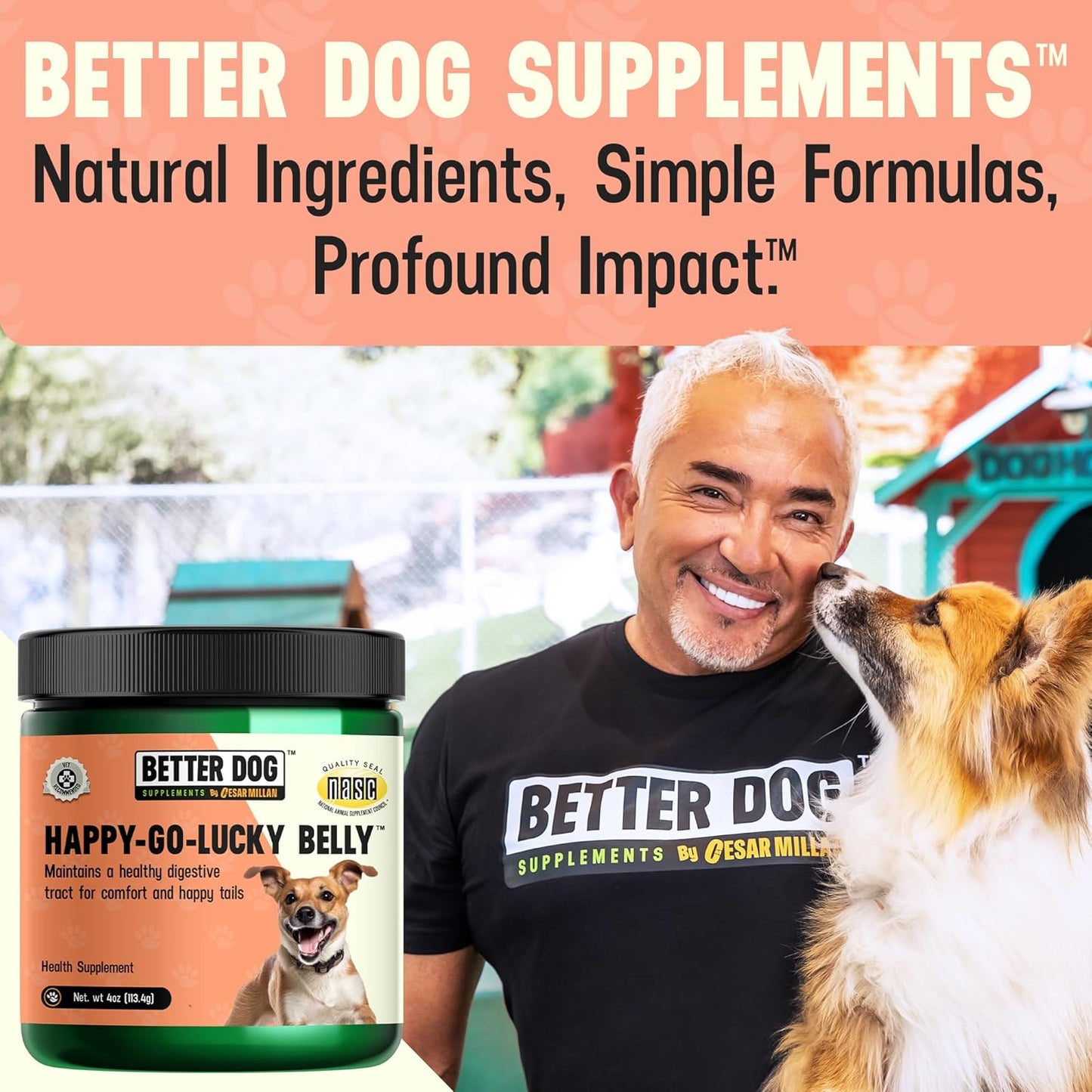 Better Dog Supplements Happy-Go-Lucky Belly by Cesar Millan – Natural Digestive Support Powder for Dogs – Upset Stomach Relief, Gut Balance & Regularity with Herbal Fiber Blend – 4oz (60-Day Supply)