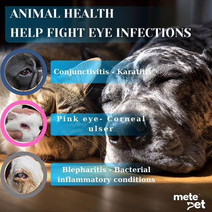 Vetromycin Pet Eye Cream Health for Dogs, Cats, Cattle, Sheep, Horse, Bird 1/8 oz /5gr, 1 Tube