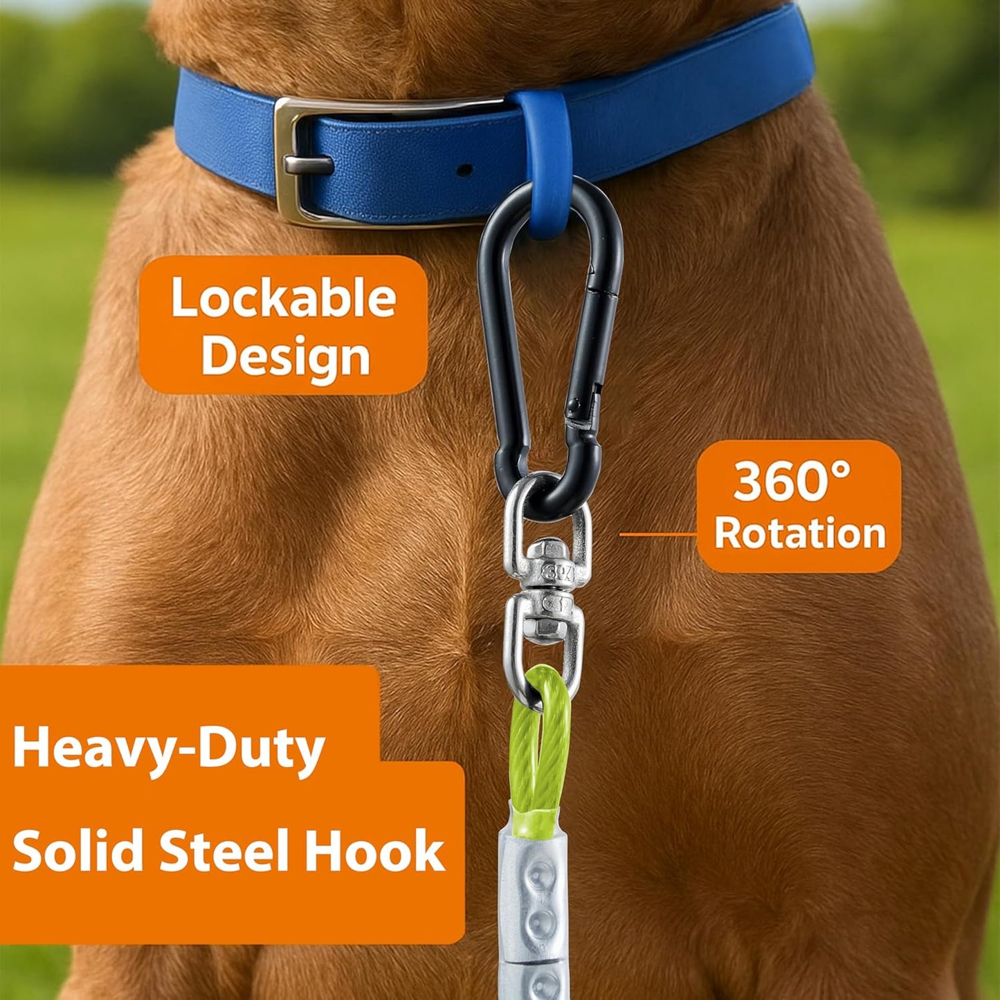 Heavy Duty Dog Tie Out Cable for Medium & Large Dogs up to 250lbs, 10/20/30/50/70/100ft Strong Steel Pet Leash for Outdoor Yard, Camping & Training (Lime Green, 30FT)
