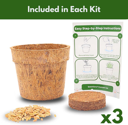 Cat Grass Kit for Indoor Cats - Organic Cat Grass Growing Kit (3 Pack) with Soil Discs, Coco Fiber Pots & Organic Seeds - Natural Hairball Control & Digestion Remedy