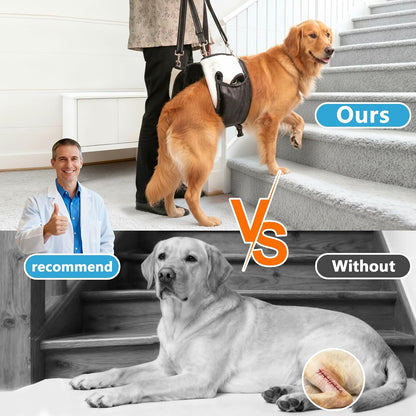 Dual-use Dog Lift Rehab Hareness Canine Sling for Small Pooch Rear Legs and Hip Support,Adjustable and Soft Brace Strap for After ACL Surgery, Helps Senior, Injured and Disabled K9