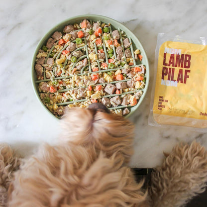 Slow-Feeder & Water Bowl Set by The Dog Tale | Food-Grade Silicone Dog Bowls, BPA-Free, Dishwasher Safe, Freezer Safe (Oatmeal)