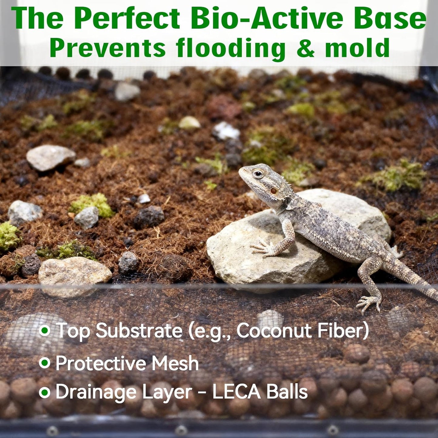 Halatool Reptile Substrate 2QT Clay Pebbles Terrarium Bedding for Reptiles Organic Clay Balls Bioactive Drainage Layer for Terrariums & Vivariums Leopard Gecko Tortoise Frog Lizard Ball Python