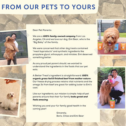 A Better Treat – Organic, Freeze Dried, Single Ingredient, 100% Grass Fed and Finished Beef Liver Dog Treats, Cat Treats | Natural Healthy | Grain Free, High Protein, Diabetic Friendly | Made in USA