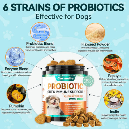 Probiotics for Dogs, 200 Soft Chews Digestive Probiotics & Enzymes for Gut Health with Pumpkin, Fibre for Dogs Anti Diarrhea, Upset Stomach, Gas Relief, Itchy Skin & Immune Support (Chicken)