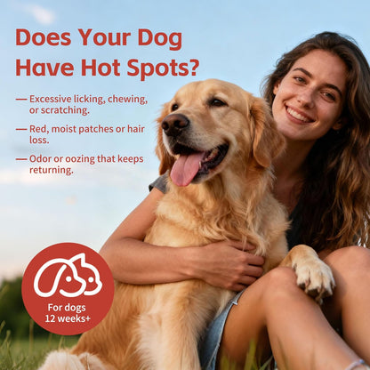 Hot spot Treatment for Dogs | Hot Spot Spray for Dogs | Hypochlorous Acid (HOCl) Formula Soothes Inflammation | Prevents Infection | Treats Bites | Scratches & Skin Ulcers - 10.14 fl oz