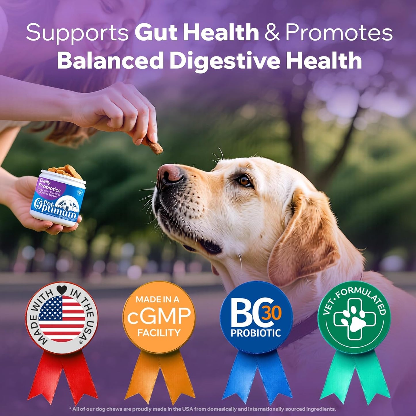 Dog Probiotics for Yeast, Itchy Skin and Itchy Ears, Allergy Relief, Daily Immune Support with Prebiotic & Digestive Enzymes (Gut Health) for Dogs, Reduce Diarrhea, Constipation & Gas Relief - 90ct