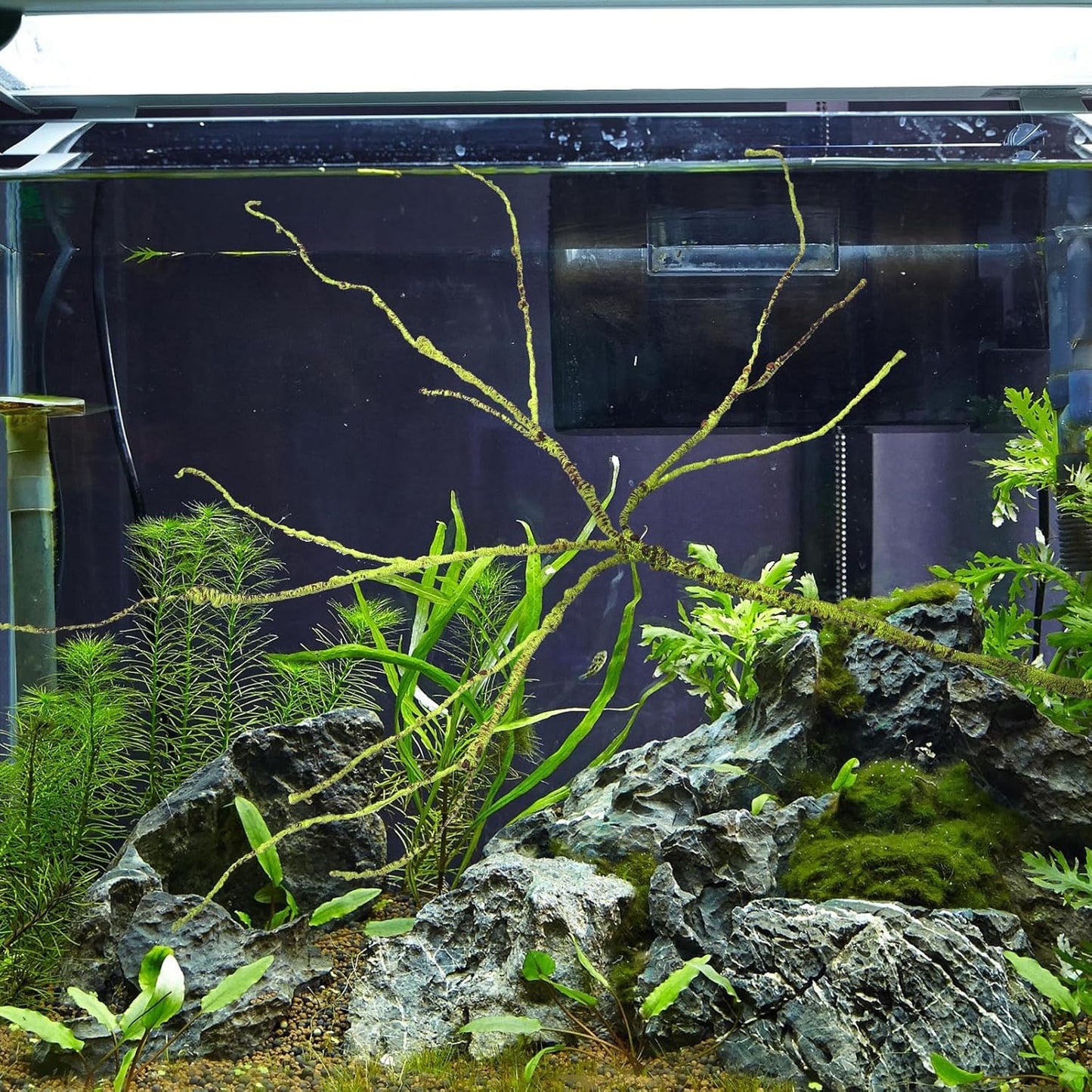 Fake Plant Reptile Vine Terrarium Accessory Sturdy Decorative Faux Rattan Climbing Habitat Decor for Reptiles and Amphibians