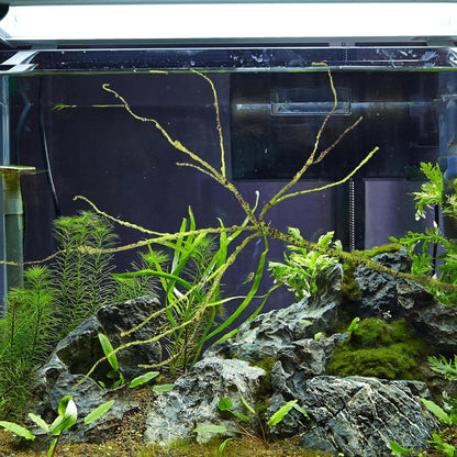 Fake Plant Reptile Vine Terrarium Accessory Sturdy Decorative Faux Rattan Climbing Habitat Decor for Reptiles and Amphibians